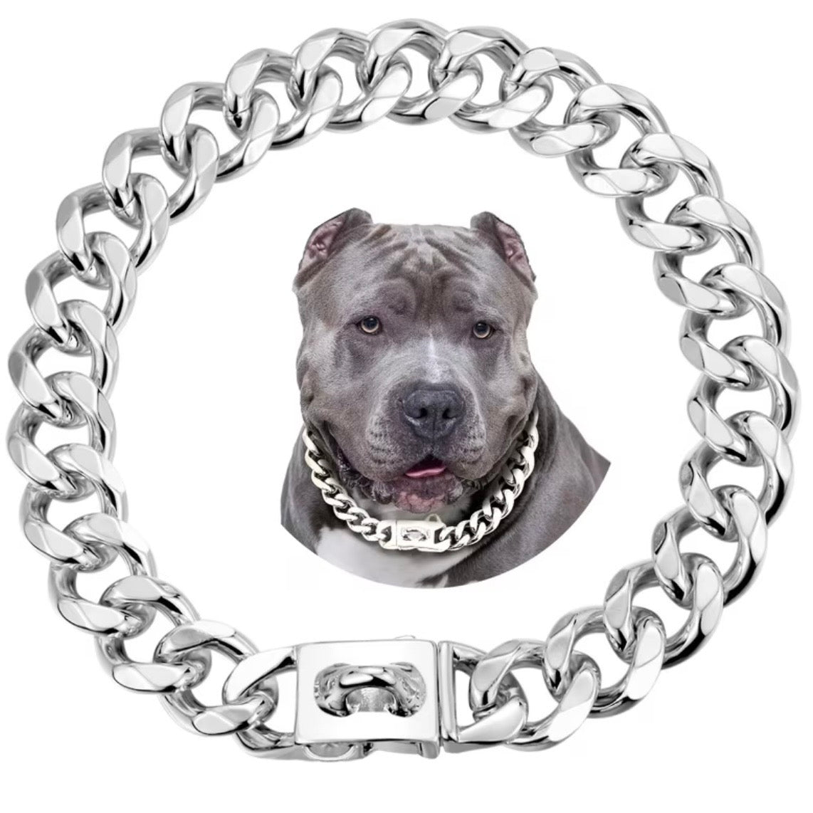 Dog Chain Collar