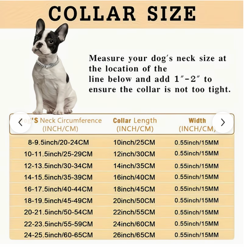 Dog Chain Collar